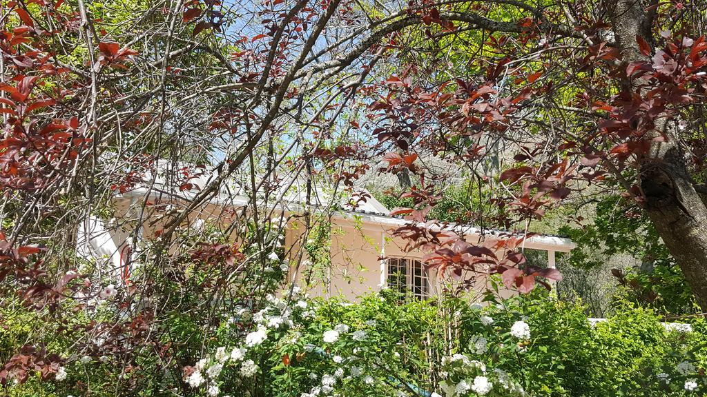Old Nectar Villa Stellenbosch Eksteriør billede